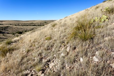 Near Zeufeldt Arroyo