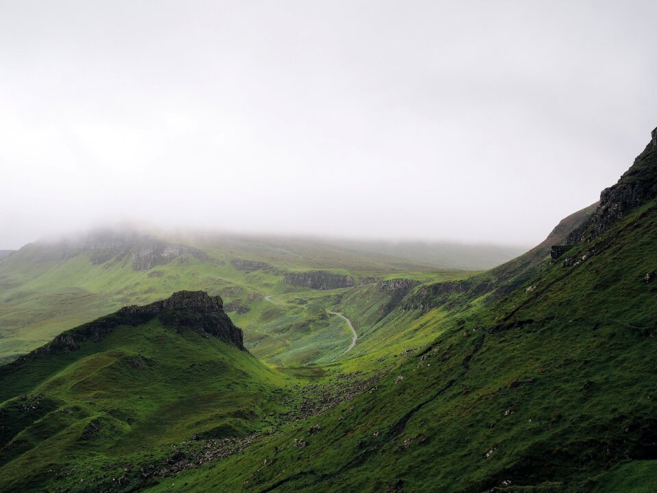 Scenic green scenery
