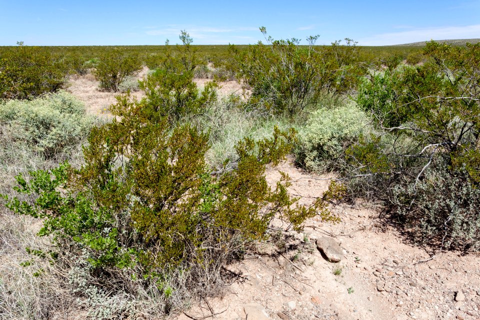 Northeast of Flat Hill