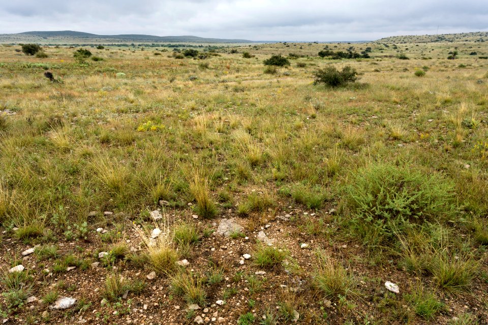 Near Sagebrush Valley