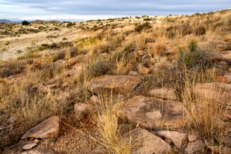 North of Nutt Mountain