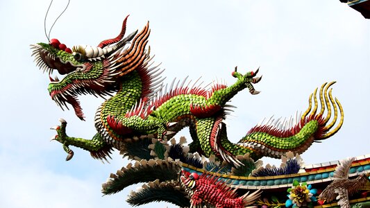 God'll temple animal