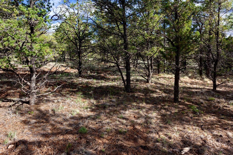 Continental Divide Trail