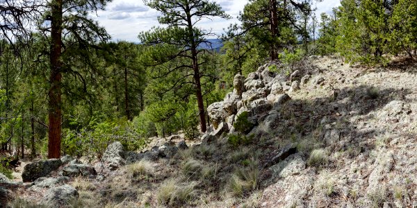 Near Marquez Canyon
