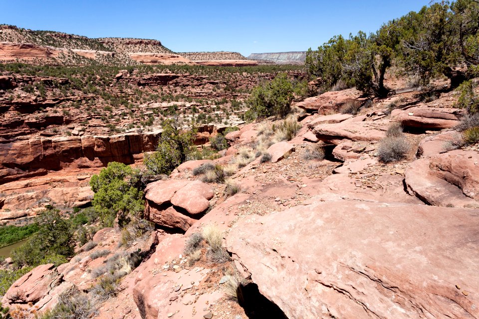 Near the Dolores River