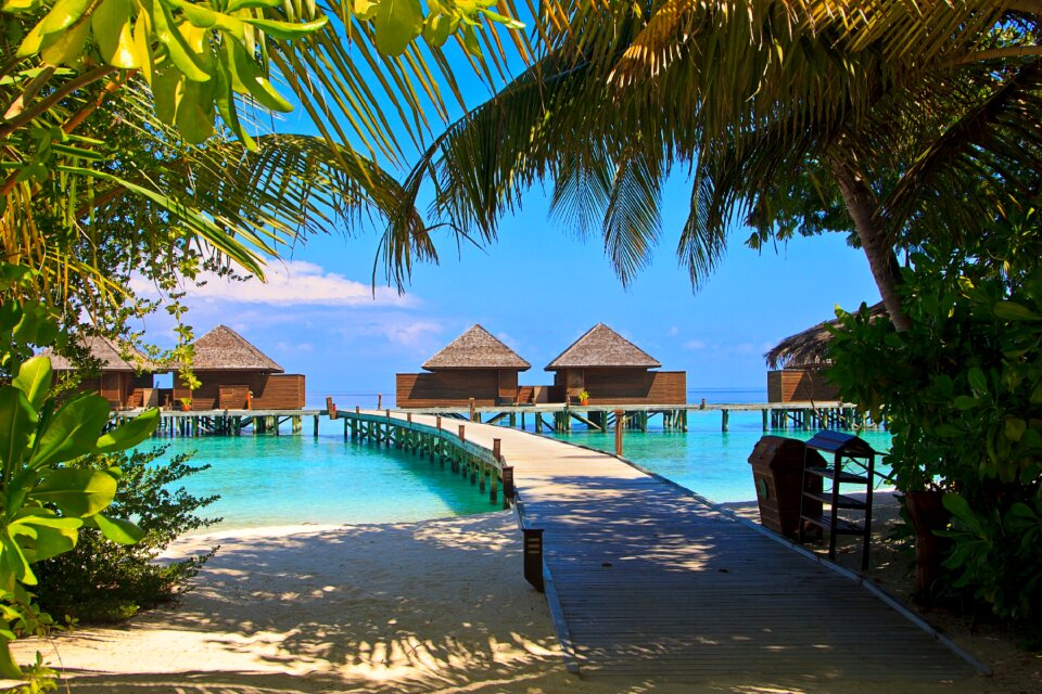 Relaxation exotic tropical