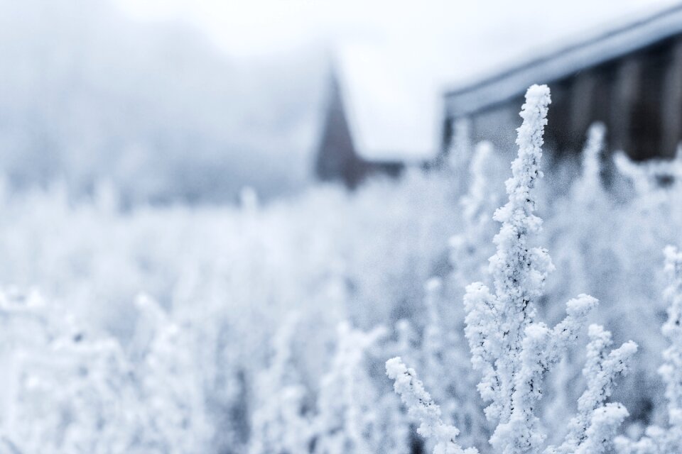 Nature landscape white