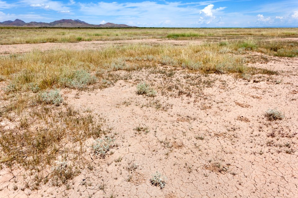 Lordsburg Playa