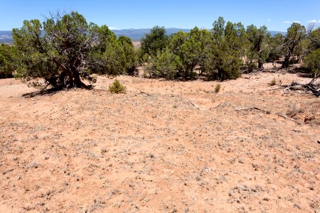 Near Hieroglyphic Canyon