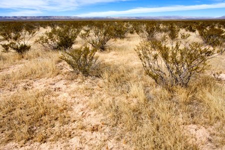 Near Box Canyon
