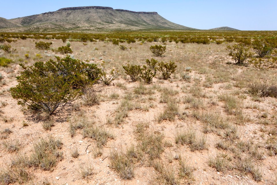East of Alamo Mountain