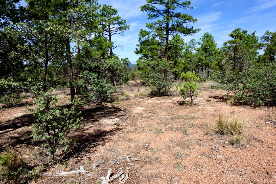 Continental Divide Trail