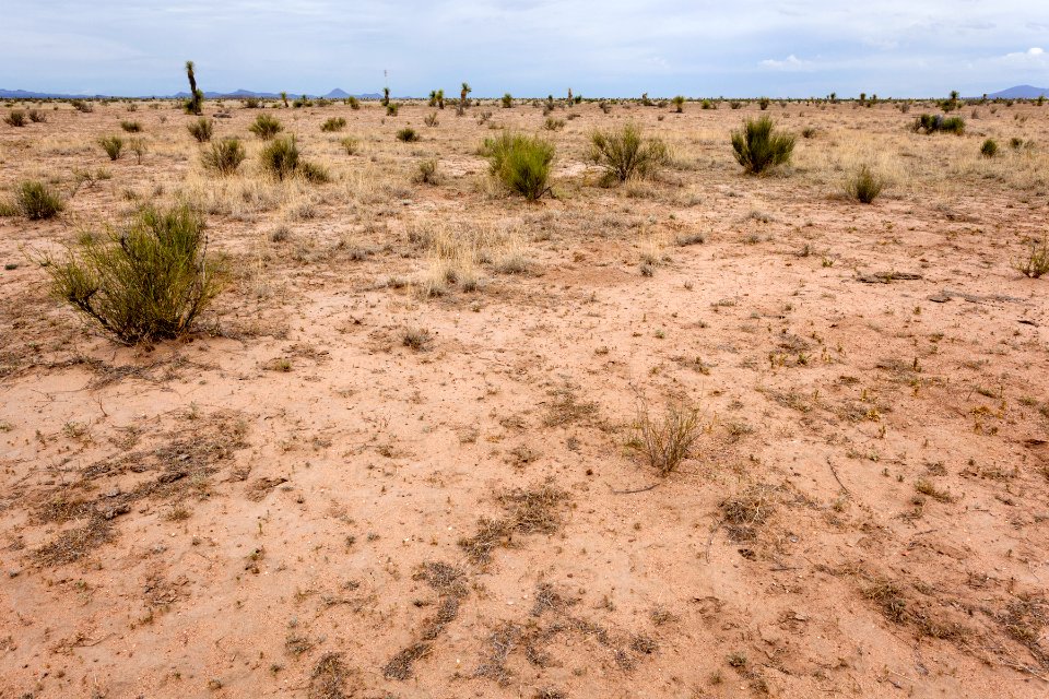 Northeast of the Brockman Hills