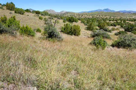 Southeast of Bootlegger Gap