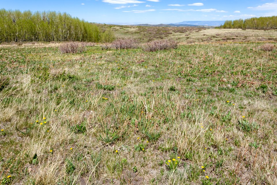 Uncompahgre Divide