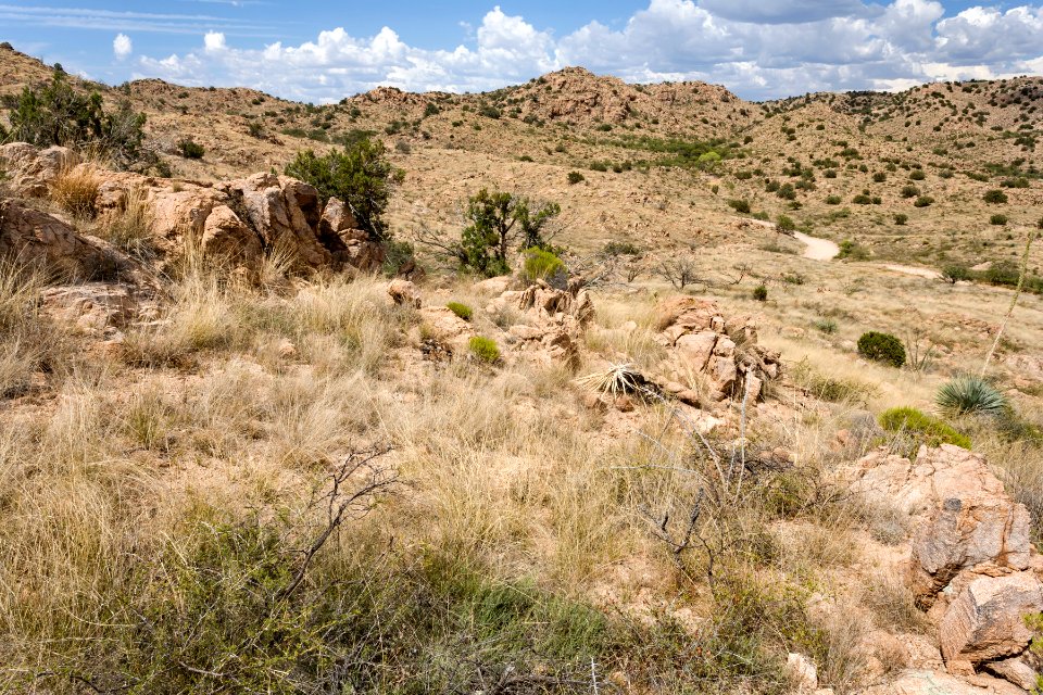 Near Tanque Verde