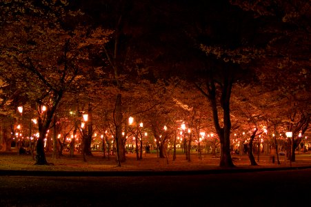 向山緑地