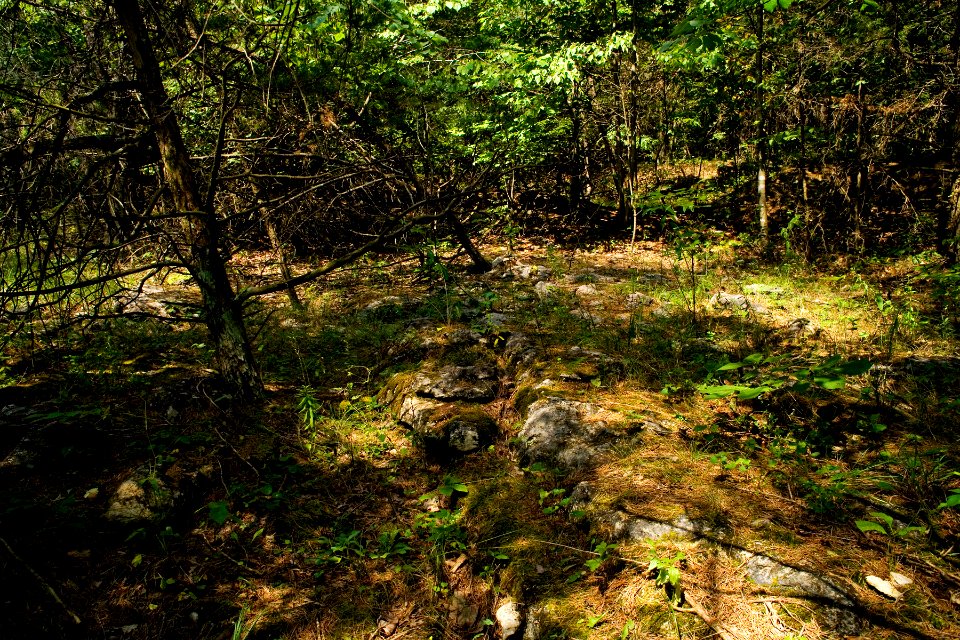 Twin Creek Nature Preserve