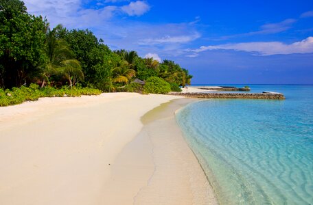 Paradise exotic beach photo