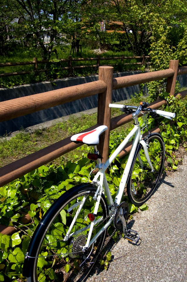 GIANT Escape R3.1 2010