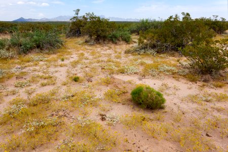 East side of the Rio Grande near Berino