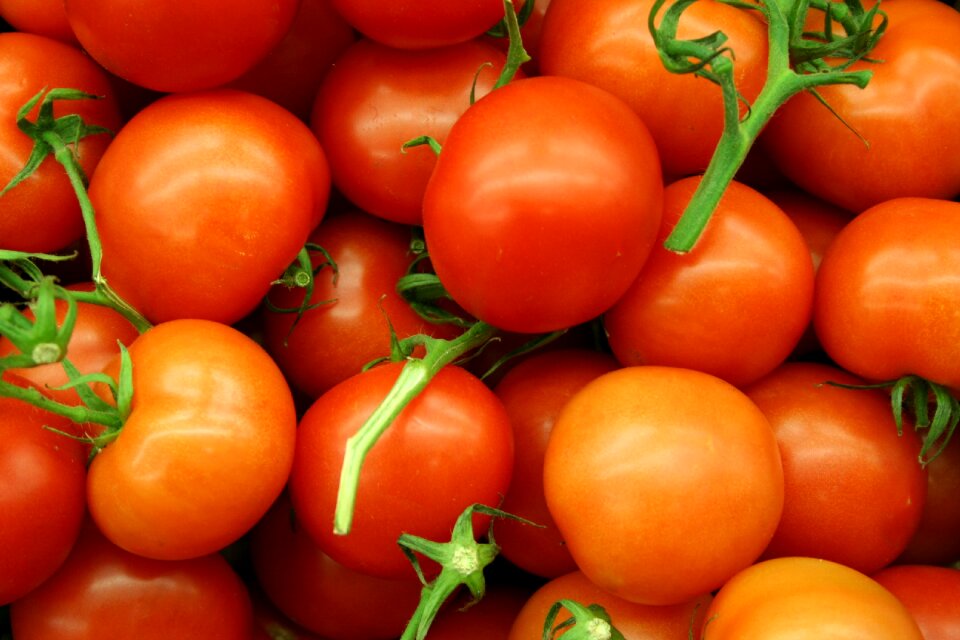 Cherry tomatoes vegetables red