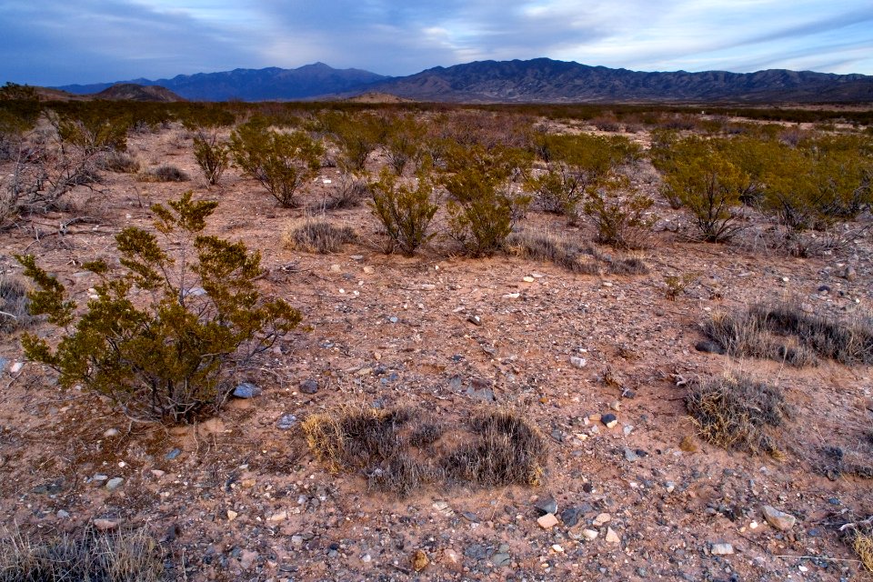 Southwestern foothills of Sierra Blanca