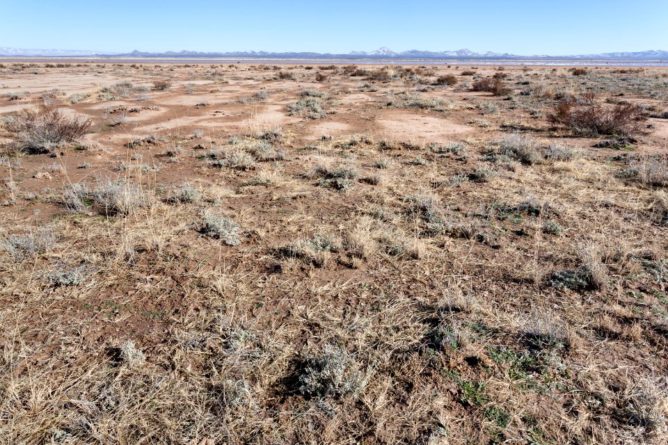 Lordsburg Playa