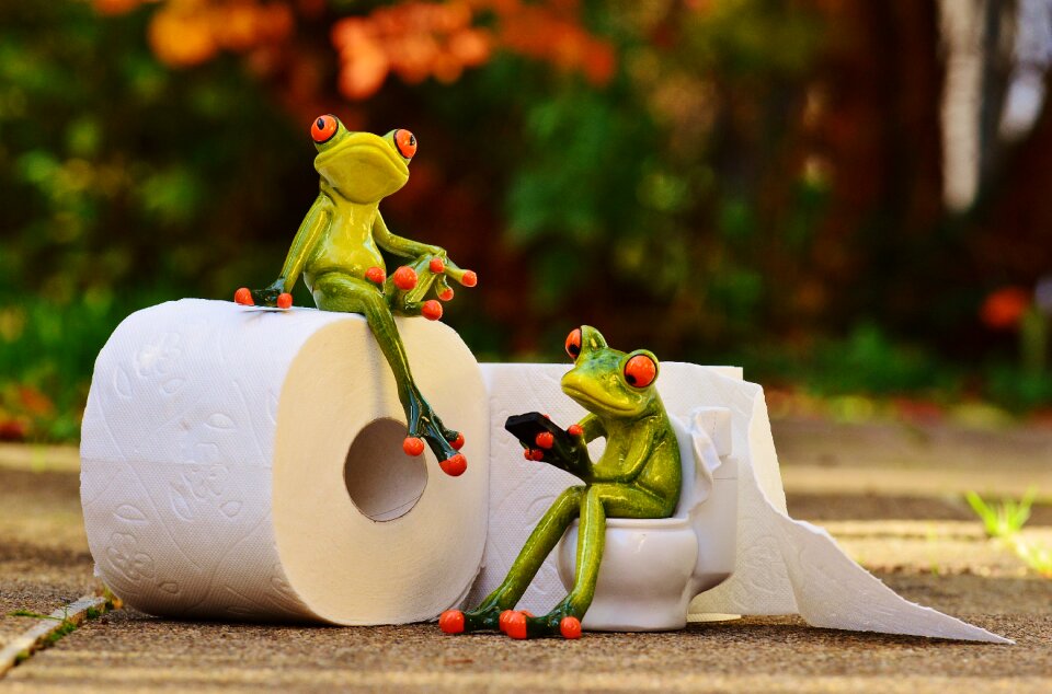 Session funny toilet paper