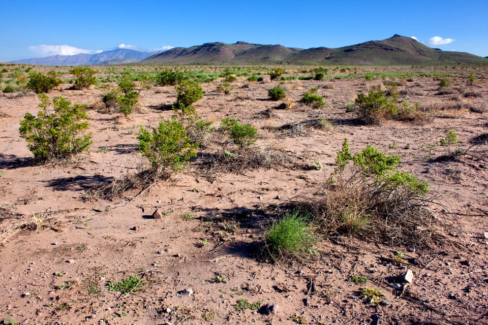 South bajada of Cookes Range