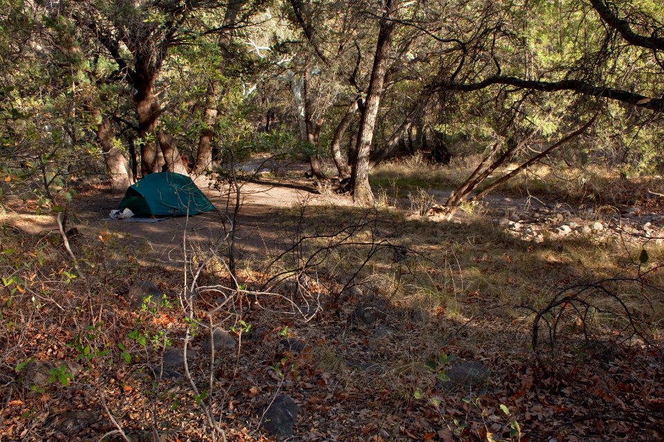 East side of the Chiricahua Mountains; Sunny Flat Campground