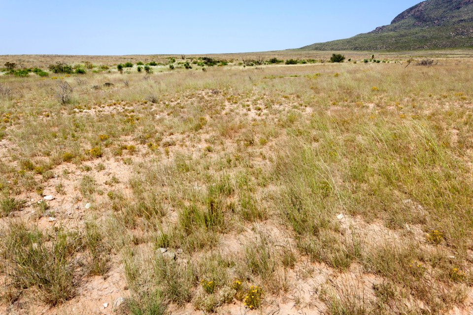 South of Alamo Mountain