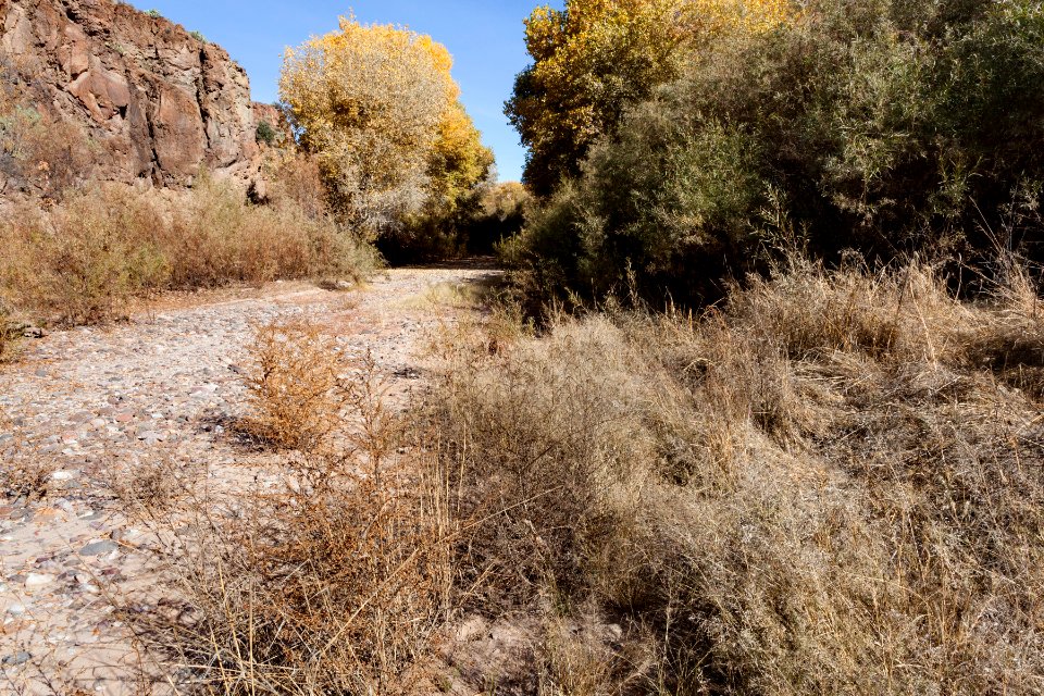 Gila River floodplain
