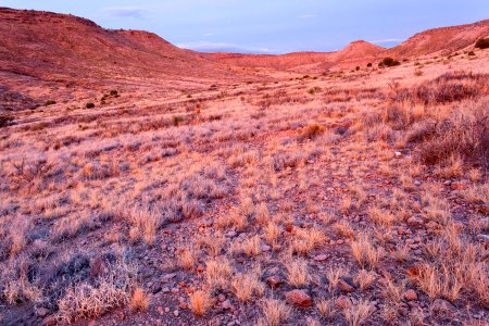 Western Sierra de las Uvas