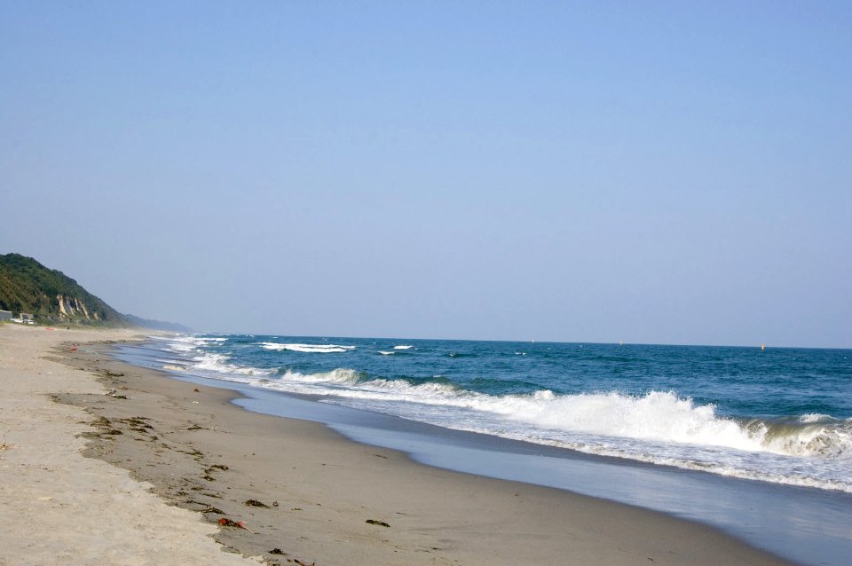 DSC 2006