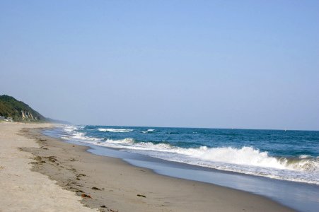 DSC 2006
