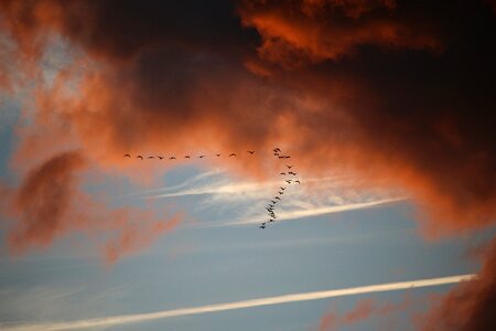 Dark clouds evening sky sunset