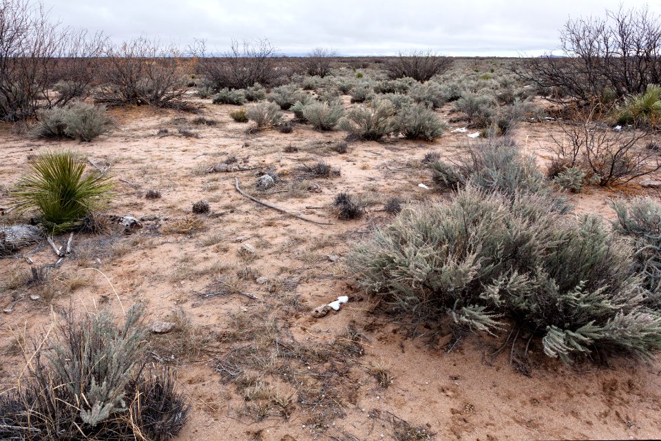 North-northeast of Northern Lordsburg Playa