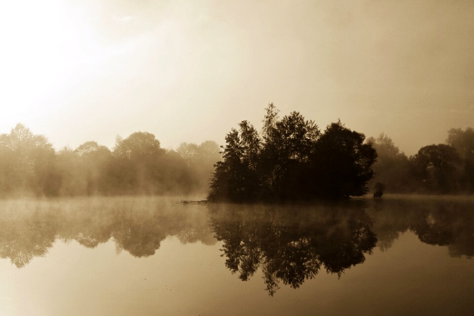Dawn meadow landscape