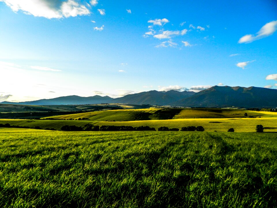 Meadow field mountain