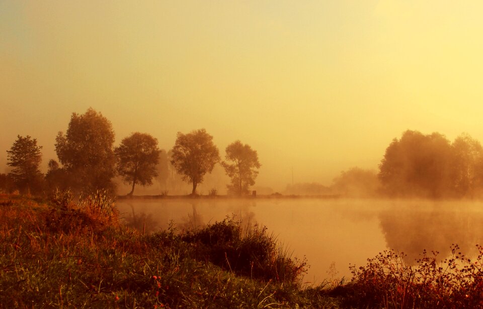 The fog pond water
