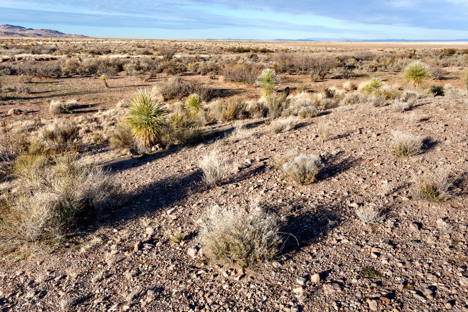 West edge of Lordsburg Playa