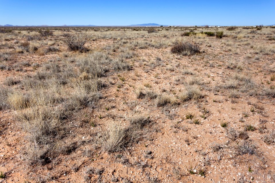 West of the Mimbres River