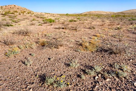 Near Fluorite Ridge