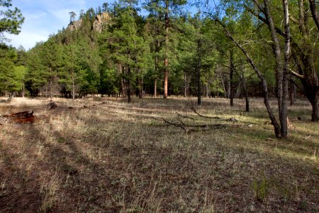 Taylor Creek