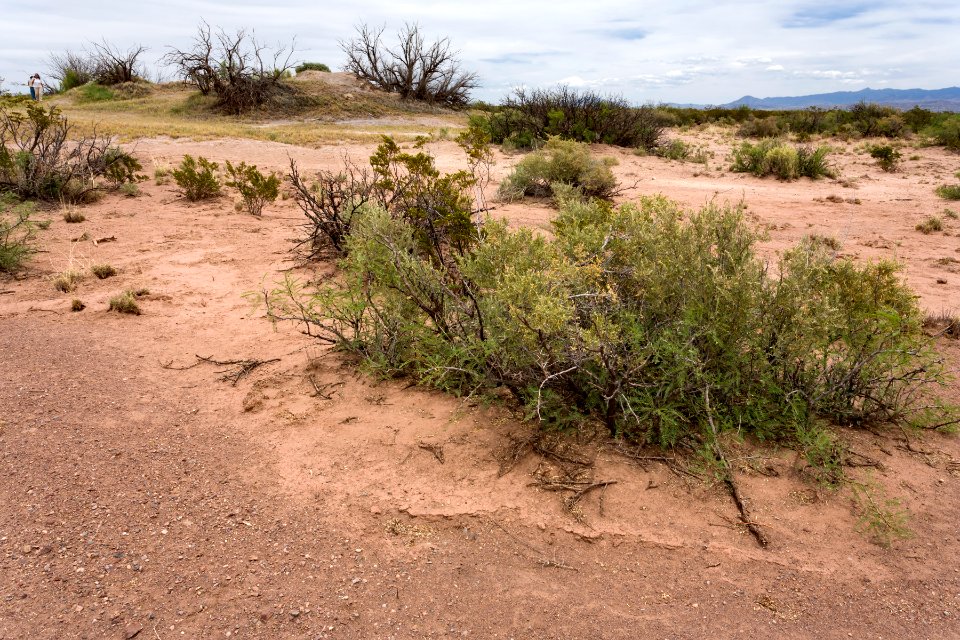 North Mound Spring