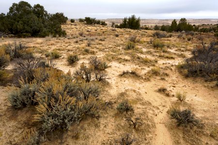 Near Arroyo Piedra Lumbre
