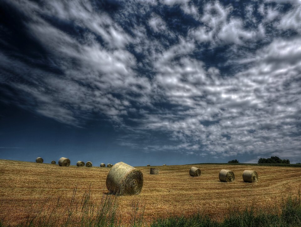 Nature summer clouds