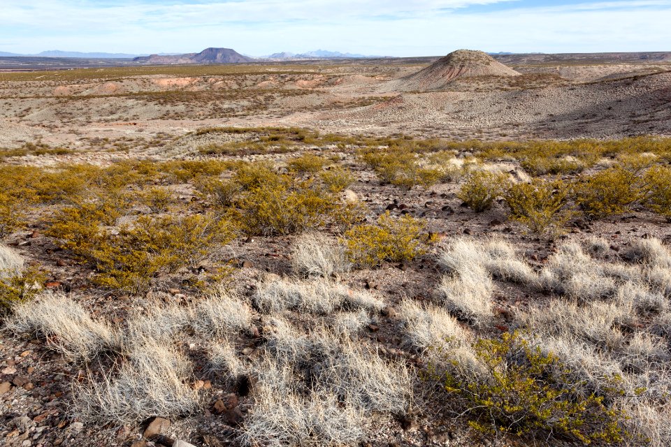 East of Arroyo Angostura