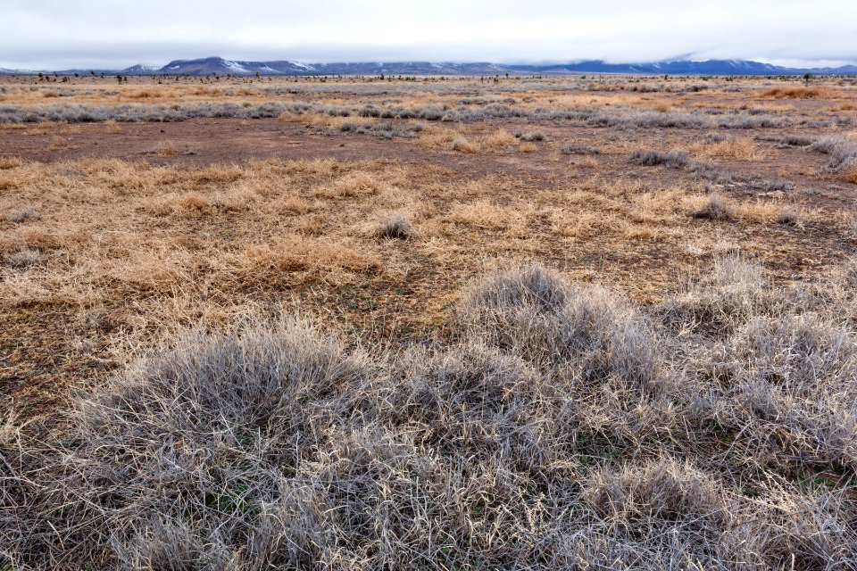 Northwest of Northern Lordsburg Playa